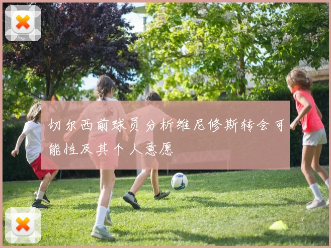 切尔西前球员分析维尼修斯转会可能性及其个人意愿