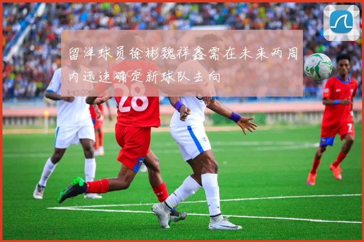 留洋球员徐彬魏祥鑫需在未来两周内迅速确定新球队去向