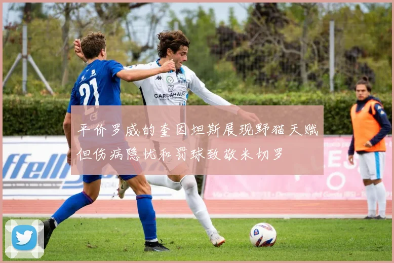 平价罗威的奎因坦斯展现野猫天赋但伤病隐忧和罚球致敬米切罗
